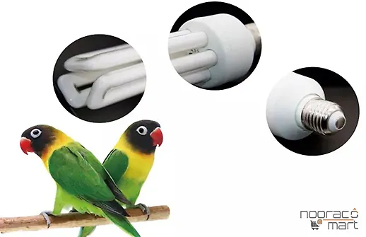 نحوه استفاده از لامپ پرنده