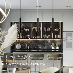 چراغ سقفی آویز 12 وات مشکی SH- 2205 شعاع