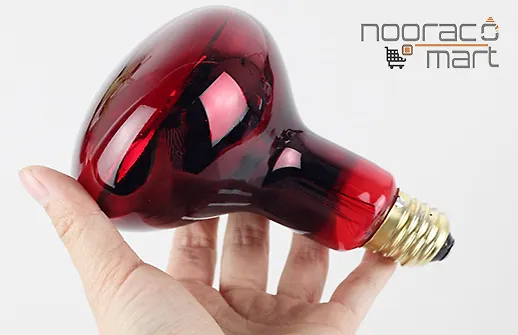 لامپ حرارتی برای پرنده