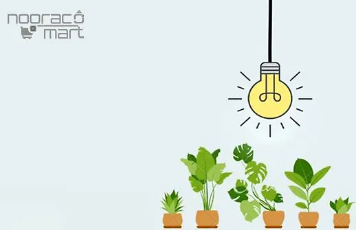 بهترین برند لامپ رشد گیاه